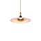 Dweled Cochere 18in LED Pendant 3000K in Black Gold Aged Brass PD-972 - alternate 1